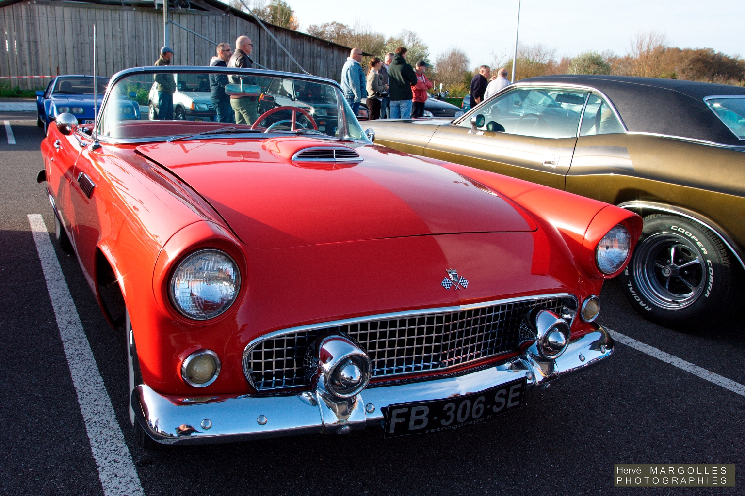 Ford Thunderbird.jpg